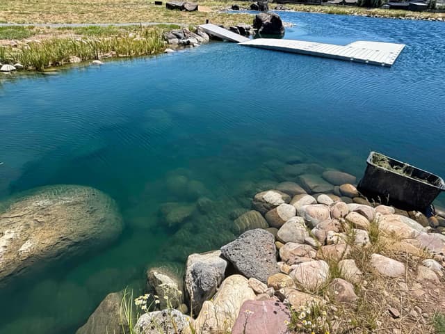 Crystal clear pond water
