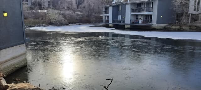 Backyard water feature